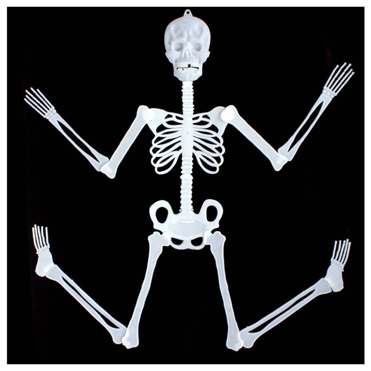 Glowing Skeleton Halloween Decoration