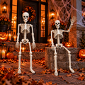 Halloween Humanoid Skeleton Decoration